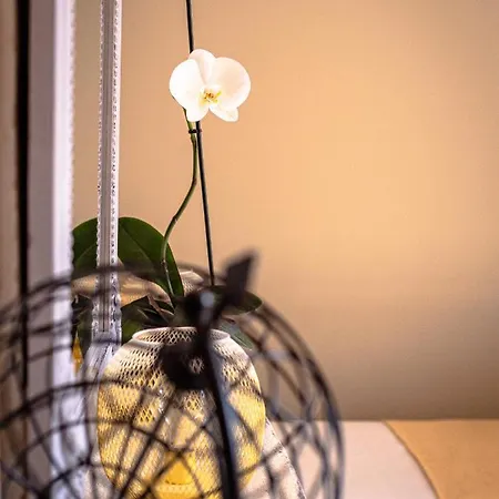 Clos Saint Martin Caen