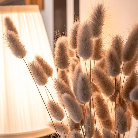 Pensjonat Clos Saint Martin