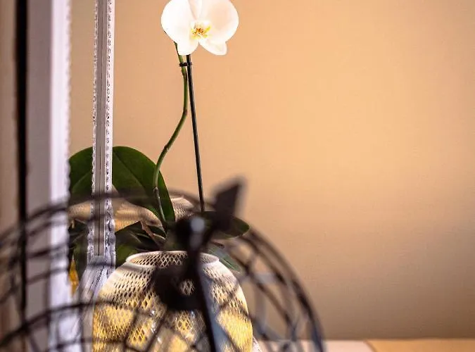 Clos Saint Martin Caen