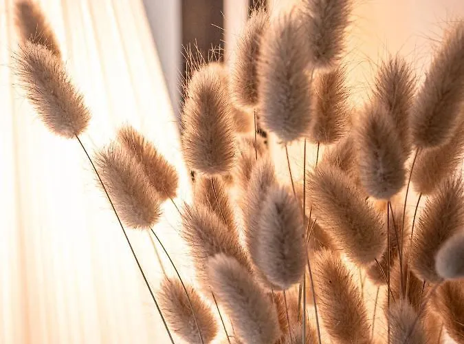 Clos Saint-martin 4* Caen