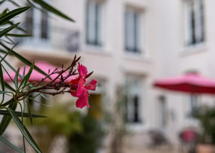 Clos Saint-martin Pensjonat 4*