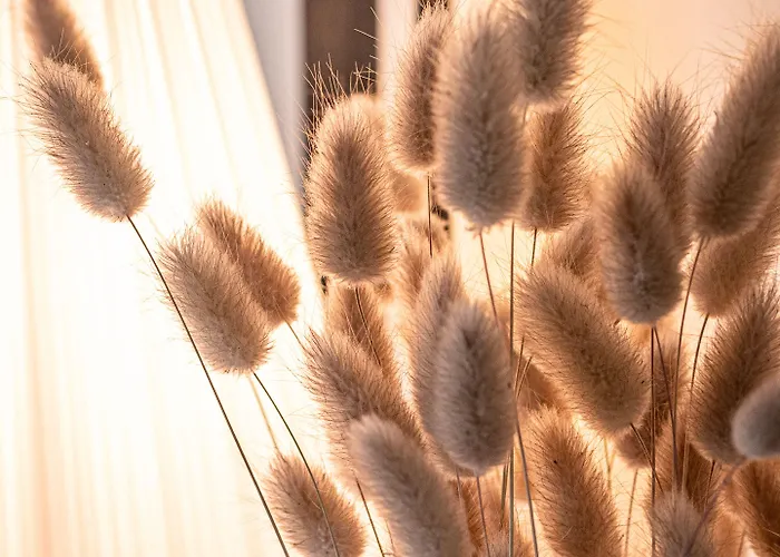 بيت ضيافة Clos Saint-martin