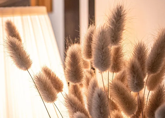 Clos Saint-martin كان